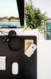 Office desk with a green plant